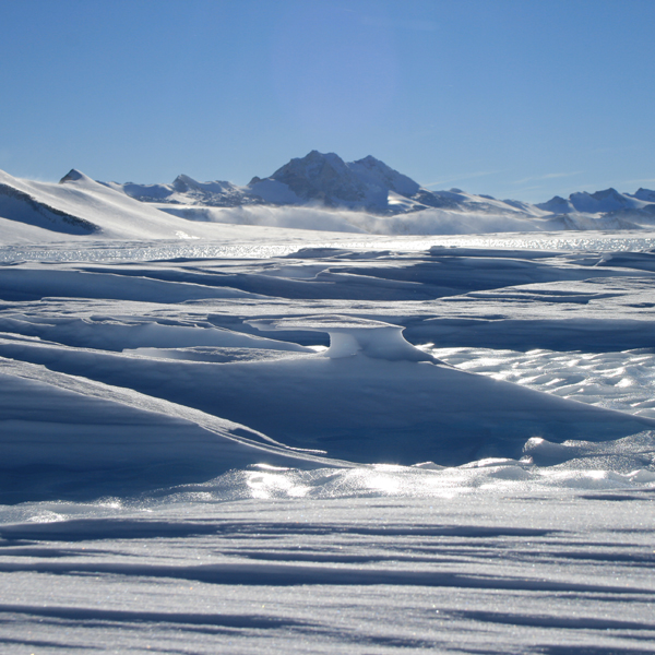 Антарктида, лед, ледник, глобальное потепление, Исчезновение льда приводит к увеличению риска разрушения шельфовых ледников в Антарктиде